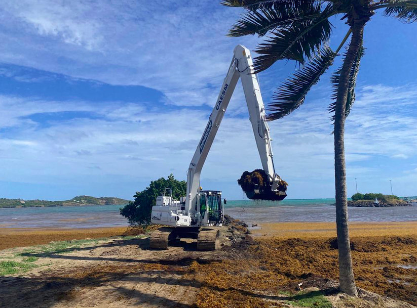 MADIMAT customises DX225SLR-7 excavators for removing toxic algae from Martinique coastline